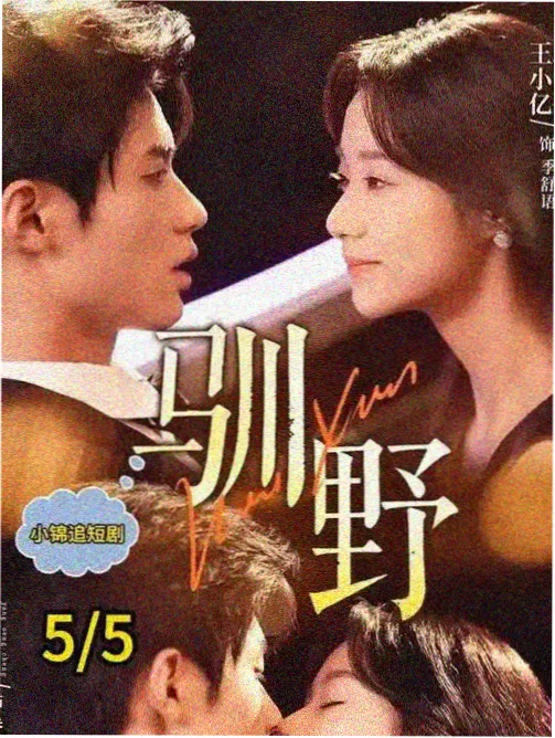 午夜修表人海报